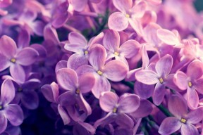 九游网页版官网入口-日本队在亚洲杯中表现出色，盼望佳绩